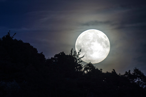 landscape lighting moonlight effect